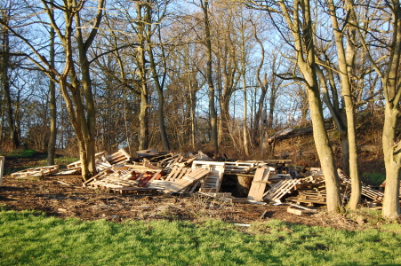 Wood_pile