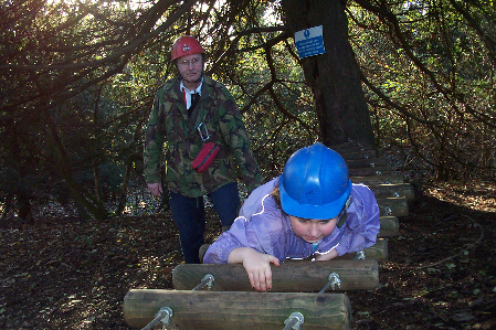 nov_06_crawl2 nov_06_crawl2