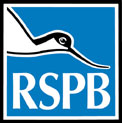 rsPB_01